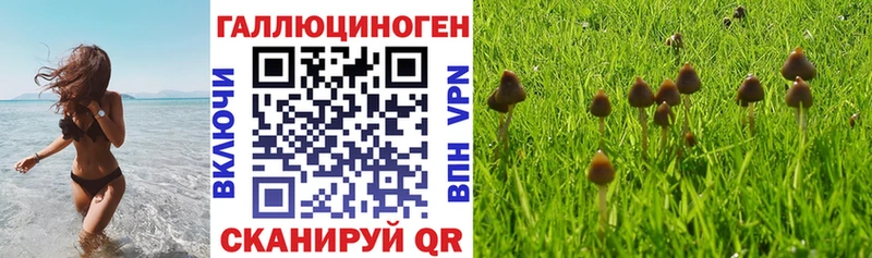 даркнет сайт  Усолье  Галлюциногенные грибы Cubensis 