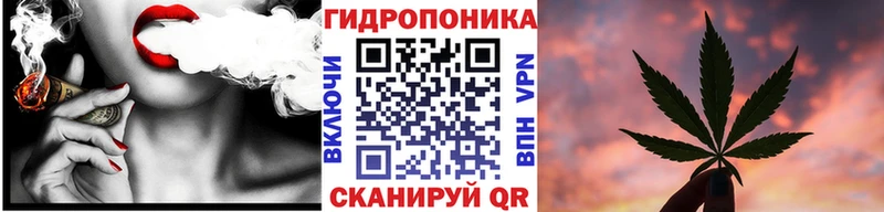 Канабис сатива  хочу   ссылка на мегу ссылка  Усолье 